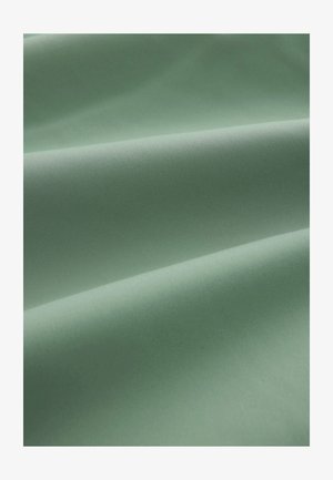 Svijetlozeleni materijal s glatkom, mat teksturom, koji prikazuje nježne nabore i ujednačenu boju bez uzoraka ili metalnih detalja.