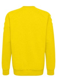 Geel sweatshirt met een ronde hals, lange raglanmouwen en ribgebreide manchetten en onderkant. Soepele textuur, geen zichtbare patronen of accenten.