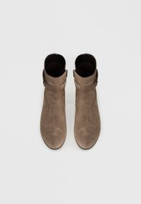Bottines en suede marron avec une texture lisse, dotées d'un détail de sangle autour de la cheville et d'un design à bout pointu.