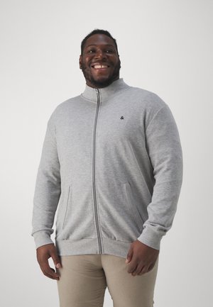 EPAULOS - Sweat zippé - light grey