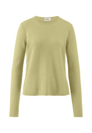 Lichtgroene langharige trui met ronde hals en een iets getailleerde snit, gemaakt van een zachte textuurstof.