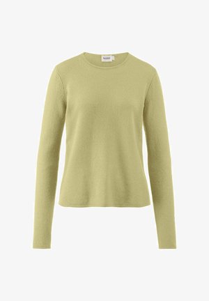 Lichtgroene langharige trui met ronde hals en een iets getailleerde snit, gemaakt van een zachte textuurstof.