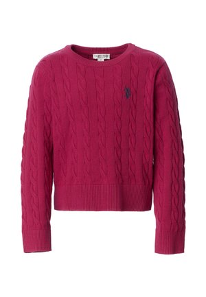 Maglione rosa a maglia a trecce con maniche lunghe, scollo rotondo e polsini e orlo a coste, con piccolo logo ricamato sul petto.
