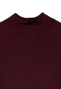 Burgundiani kõrge kaelusega särk, mis on valmistatud kudumiskangast. Omab tihedat, sujuvat tekstuuri koos kergelt soonilise kaeluse detailiga. Ilma mustrite ja sõlmedeta.