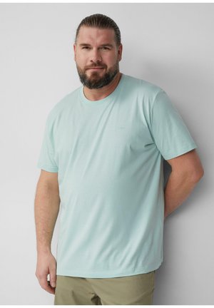 Mintgroene t-shirt van zacht materiaal, met een ronde halsontwerp, korte mouwen en een subtiele logodetail op de borst.