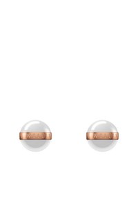 Daniel Wellington ASPIRATION - Orecchini - white