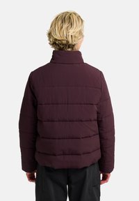 Bordeaux pufferjack met hoge kraag, gewatteerde textuur en een ontspannen pasvorm. De achterkant toont een gladde afwerking en horizontale stikdetails.
