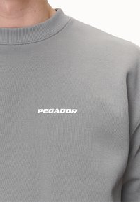 Pegador LOGO OVERSIZED SWEATER - Melegítőfelső - washed cool grey/white gum