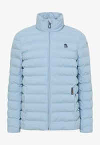 Neselectat, hellblau