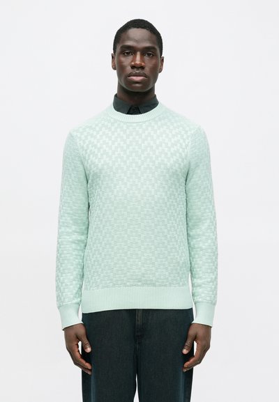 Mann in einem hellgrünen strukturierten Strickpullover über einem schwarzen Hemd mit Kragen und dunkler Hose, der vor einem schlichten weißen Hintergrund steht.