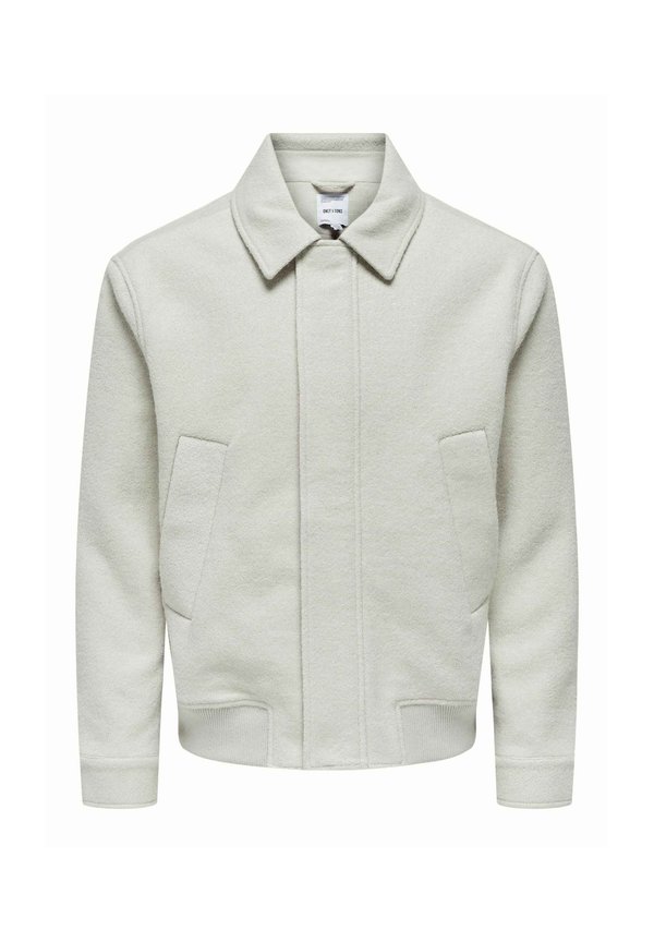 REISSVERSCHLUSS WINDDICHTER BLENDE - Übergangsjacke - grau