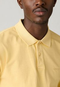 Levi's® AUTHENTIC NORTH ATLANTIC GARMENT - Piké - acacius stripe egret