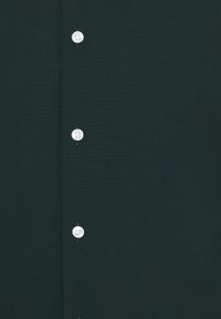 Seidensticker BUSINESS PATCH - Chemise classique - green