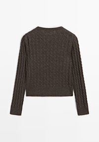 Maglione lavorato a maglia grigio scuro, con motivo a trecce, maniche lunghe e orlo a costine. Vista posteriore, lunghezza corta, scollatura semplice.