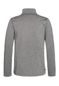 Protest 1/4 ZIPTOP - Sweatshirt - dark grey melee