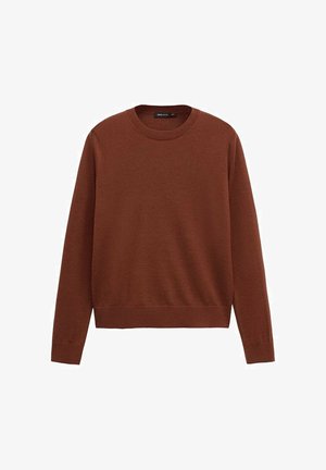 Pull marron à manches longues avec col rond, poignets et ourlet côtelés, présenté sur un fond blanc.