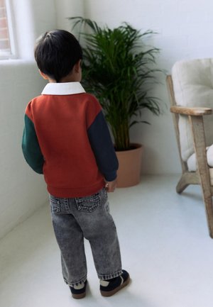 Next, Maglietta a manica lunga - rust brown colourblock