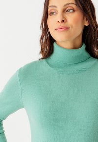 Damart COL ROULÉ  - Maglione - vert grisé