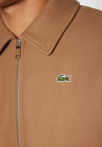 Lacoste Bomber tipa jaka - cookie