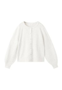 Nevybráno, lichtgrijs