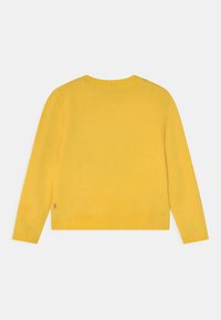 Gelber Pullover, weiches Strickmaterial, lange Ärmel, Rundhalsausschnitt, gerippte Bündchen und Saum, schlichtes Design, mit einem kleinen Akzentetikett an der Seite.