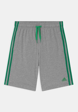 Sportovní kraťasy - grey/green