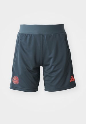 Mörkgrå idrottsshorts tillverkade av lättviktigt tyg. Har en röd FC Bayern München-logotyp och röda Adidas-accenter på sidan. Slät textur.