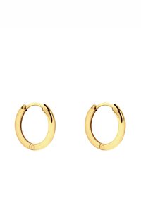 Gouden hoepel oorbellen met een glad, afgerond ontwerp en een scharnier sluiting. Reflecterende afwerking zonder extra patronen of versieringen.