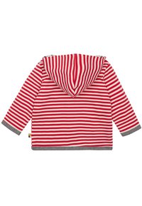 Felpa a righe rosse e bianche con orlo grigio. Presenta un cappuccio e maniche lunghe, realizzata in tessuto morbido. Design semplice, senza dettagli aggiuntivi.