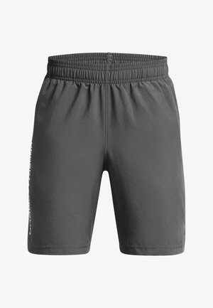 Hallid hallid spordishortsid, millel on sile tekstuur, elastne vöökoht ja peene logo detail külgedel. Lihtne disain ja põlveni ulatuv lõige.