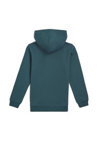 Felpa con cappuccio in teal, realizzata in tessuto morbido. Presenta maniche lunghe, una tasca a marsupio e polsini e orlo a costine.