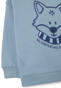 Felpa azzurra chiara con un ricamo di un volto di lupo e una sciarpa a strisce blu e navy. Polsini e orlo a costine, tessuto morbido.