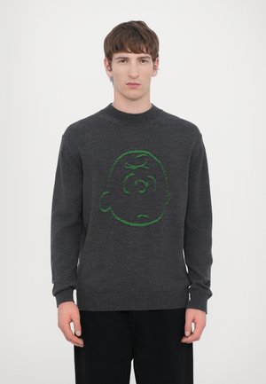 Iceberg MAGLIA GIROCOLLO - Stickad tröja - antracite
