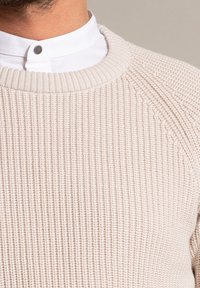 Maglione lavorato a maglia beige con un motivo testurizzato, caratterizzato da un collo rotondo e maniche raglan. Indossato sopra una camicia bianca con colletto.