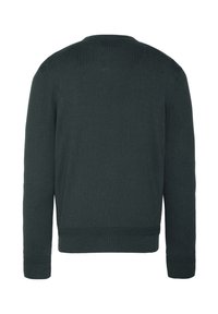 Dunkelgrüner Strickpullover mit langen Ärmeln, Rundhalsausschnitt und gerippten Bündchen sowie Saum. Glatte Textur, keine sichtbaren Muster oder Designs.