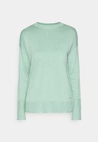 Pull vert clair à manches longues avec poignets et ourlet côtelés, présentant un col rond et un petit logo sur la partie inférieure avant.