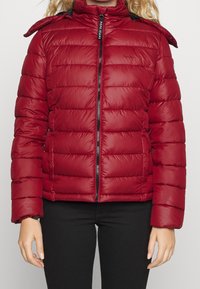 Pepe Jeans Zimní bunda - bordeaux