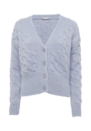 Cardigan lavorato a maglia di colore azzurro chiaro con scollatura a V, motivo a trecce e chiusura frontale con cinque bottoni. Vita e polsini a costine.