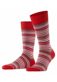 FALKE MICROBLOCK - Calze - red (8229)