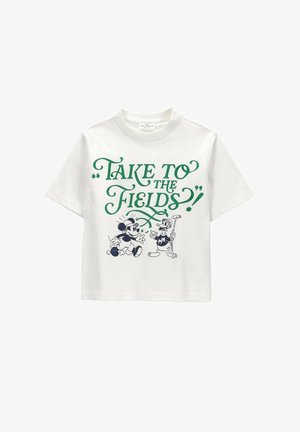 Coccodrillo, - T-shirt z nadrukiem