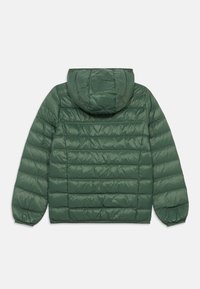 Zöld steppelt télikabát kapucnival, rugalmas mandzsettákkal és sima, fényes textúrával. Hátsó nézet, a gallér és a szegély nem látható.