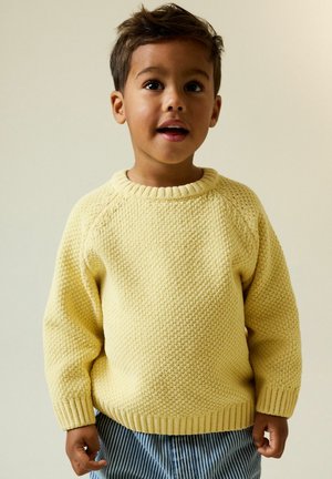CHENILLE CREW NECK - Pulover - yellow