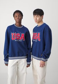 Tommy Jeans ARCHIVE GAMES TEAM USA CREW UNISEX - Sudadera - twilight indigo