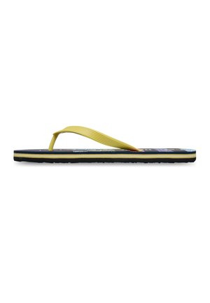 MOLOKAI STRIPE 26 - Sandales tongs - ktp