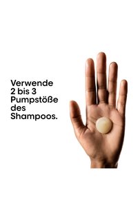 Miniatyrbilde 5