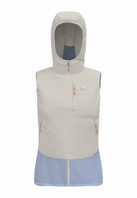 Unselected, silver cloud blue heron