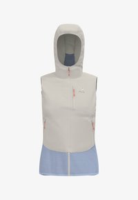 Unselected, silver cloud blue heron