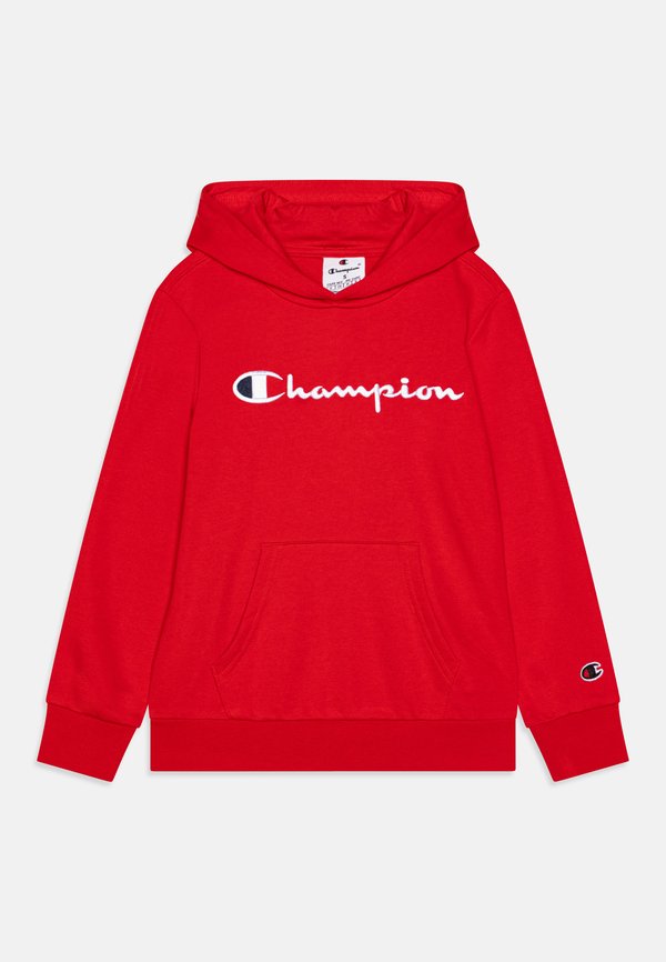 ICONS HOODIE WITH LARGE LOGO - Hoodie - sed