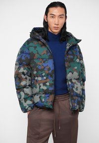 EA7 Emporio Armani MOUNTAIN ECO HOODED JACKET GRAPHIC - Ziemas jaka - multi-coloured