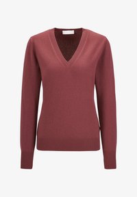 Unausgewählt, winterrose